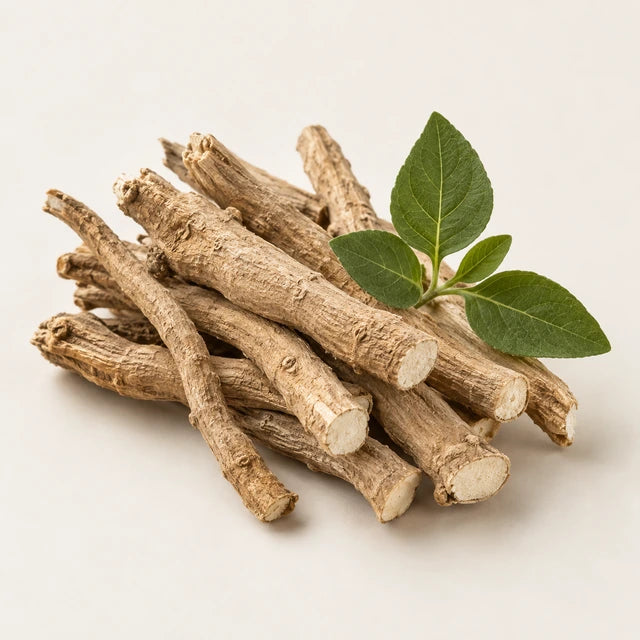 Ashwagandha ingredient illustration