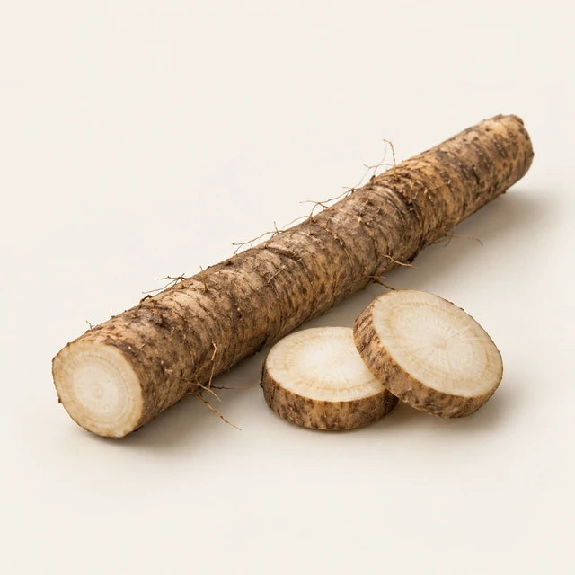 Burdock ingredient illustration