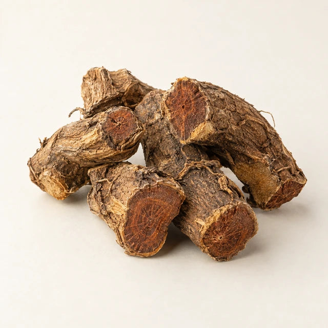 Japanese knotweed extract ingredient illustration
