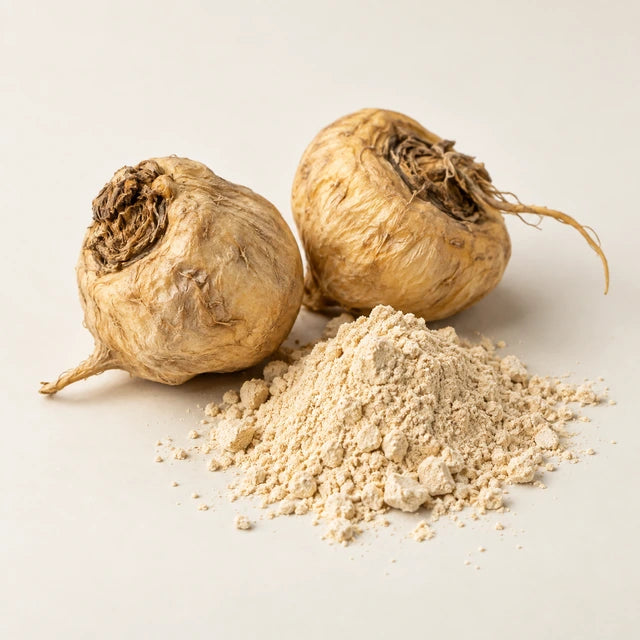 Maca ingredient illustration