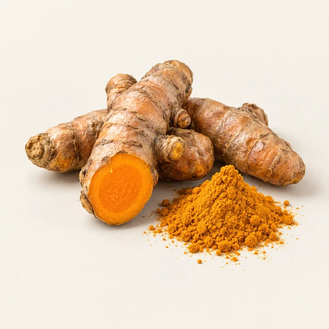CurQLife turmeric extract ingredient illustration