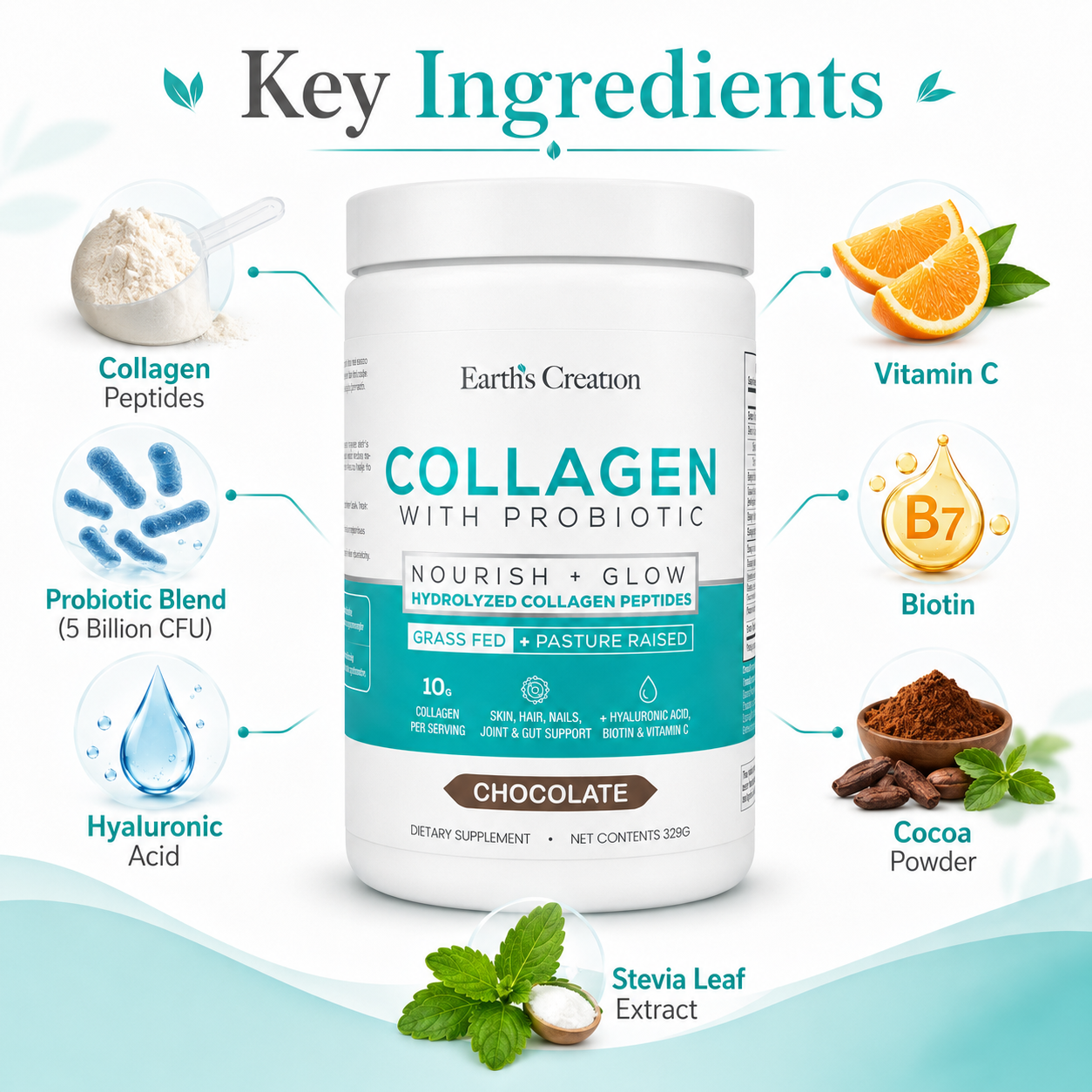 Earth’s Creation Collagen with Probiotic – Chocolate Hydrolyzed Collagen Peptides – Nourish + Glow