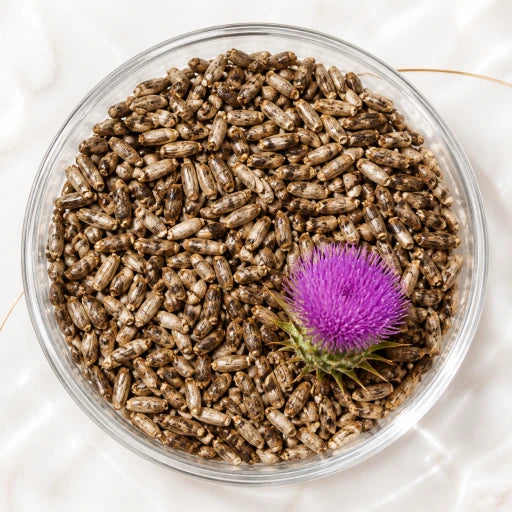 Milk thistle ingredient illustration