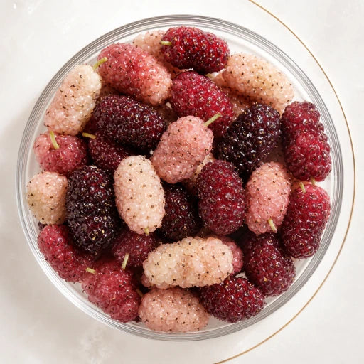 Mulberry ingredient illustration