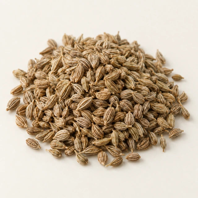 Trachyspermum extract ingredient illustration