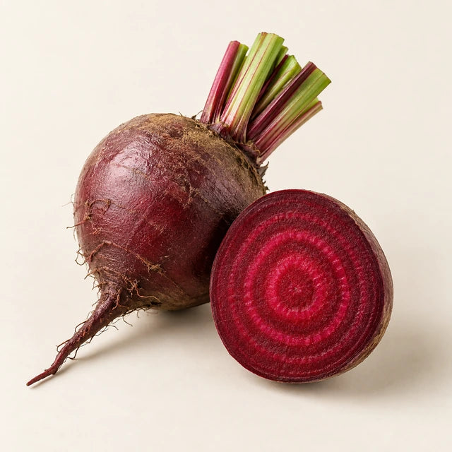 Beetroot ingredient illustration