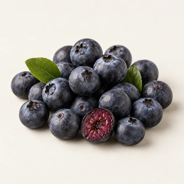 Bilberry ingredient illustration