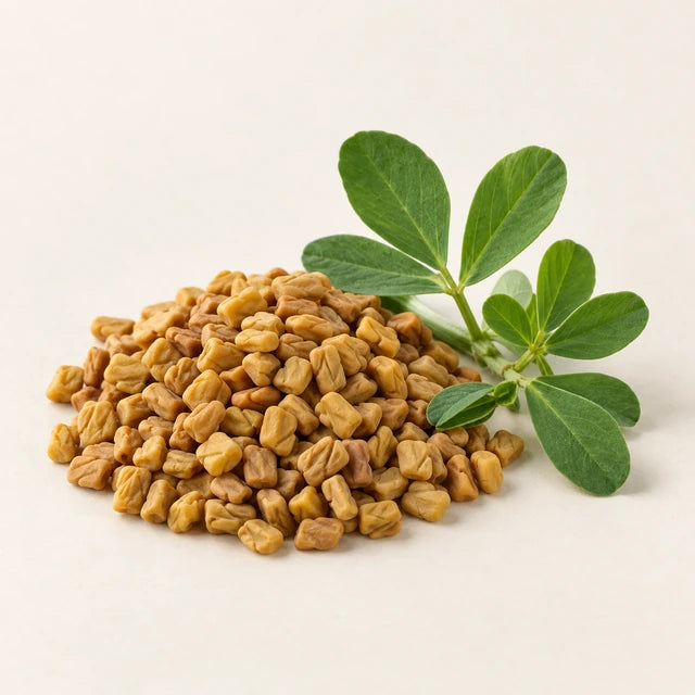 Fenugreek ingredient illustration