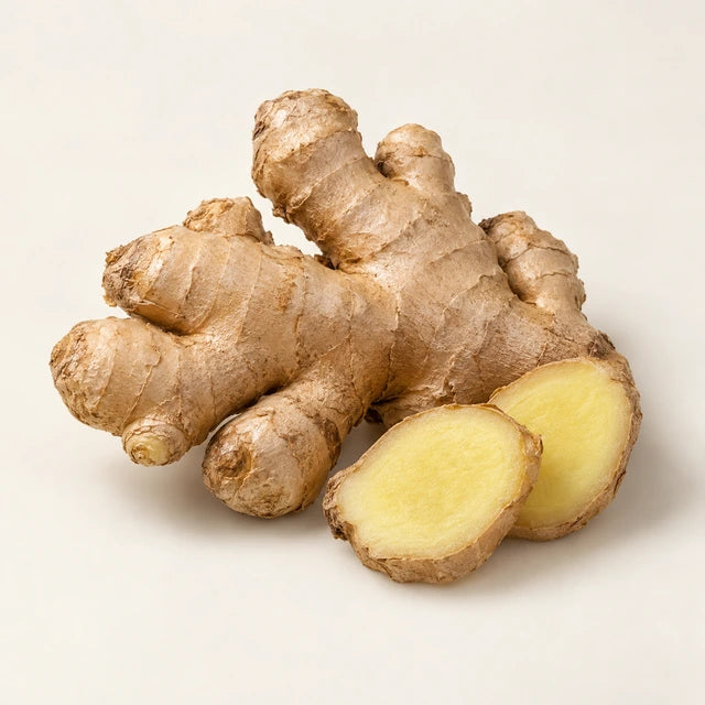 Ginger ingredient illustration