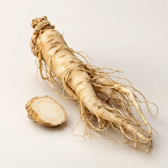 Korean ginseng ingredient illustration