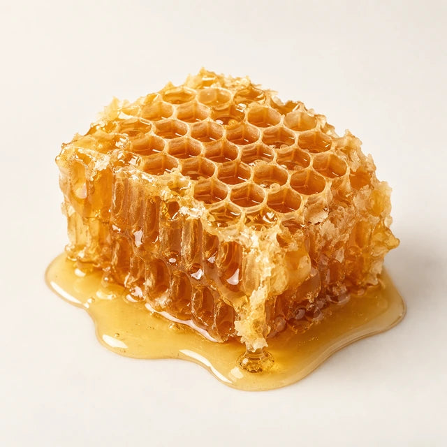 Wildflower honey ingredient illustration