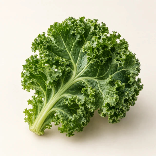Kale ingredient illustration